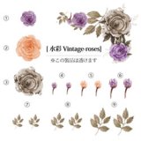 画像: 水彩Vintage-roses