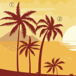 画像2: palm-trees