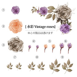 画像1: 水彩Vintage-roses
